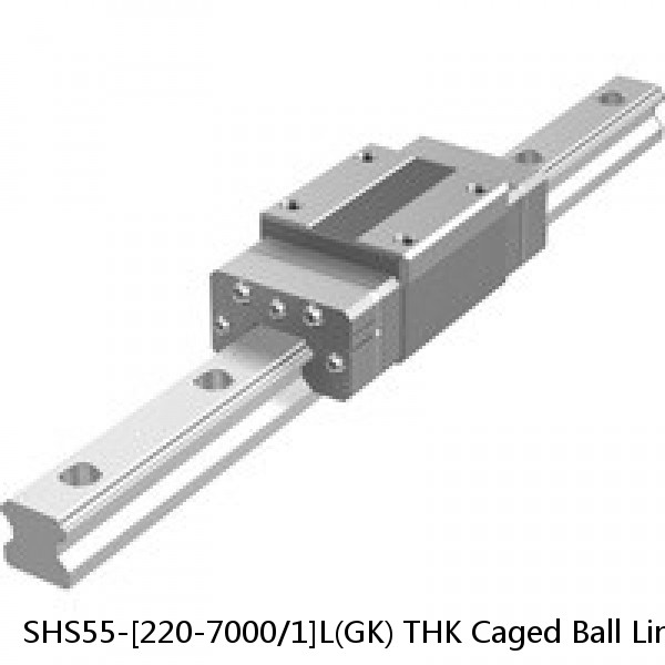 SHS55-[220-7000/1]L(GK) THK Caged Ball Linear Guide Rail Only Standard Grade Interchangeable SHS Series
