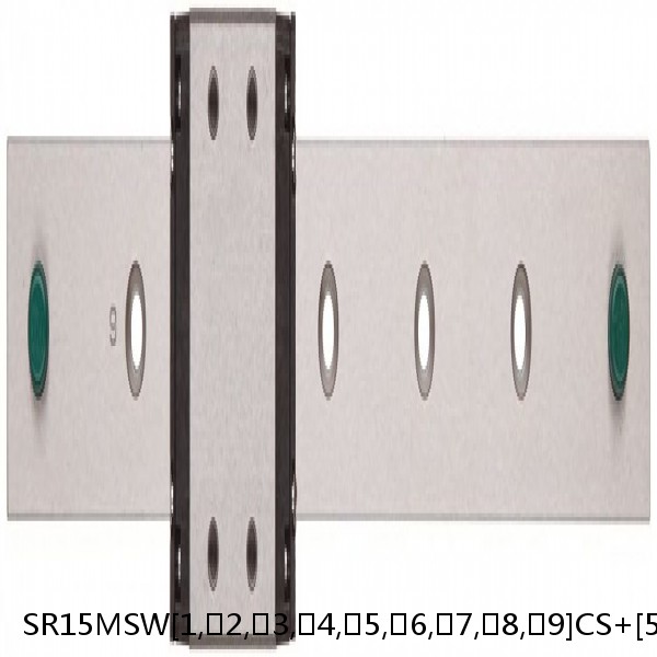 SR15MSW[1,​2,​3,​4,​5,​6,​7,​8,​9]CS+[55-400/1]L[P,​SP,​UP] THK Oil-Free Linear Guide for Special Environments Accuracy Selectable SR-MS Series