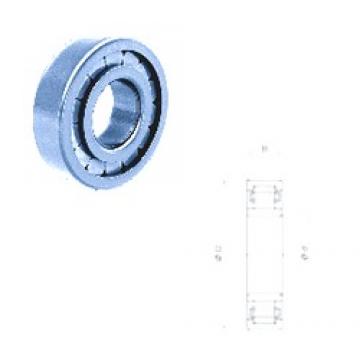 40 mm x 80 mm x 18 mm  Fersa NU208FMN cylindrical roller bearings