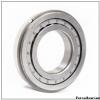 60 mm x 95 mm x 18 mm  Fersa 6012-2RS deep groove ball bearings #1 small image