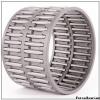 45 mm x 100 mm x 25 mm  Fersa F19002 cylindrical roller bearings #1 small image