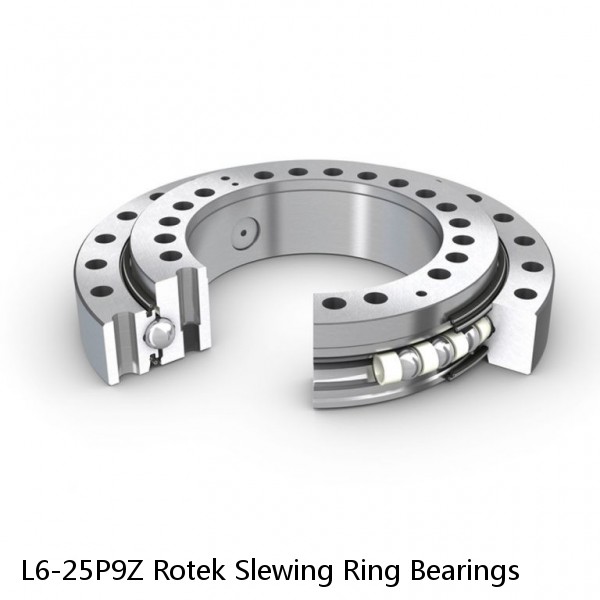 L6-25P9Z Rotek Slewing Ring Bearings #1 small image