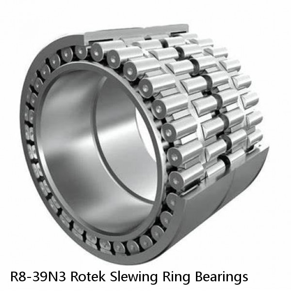 R8-39N3 Rotek Slewing Ring Bearings #1 small image