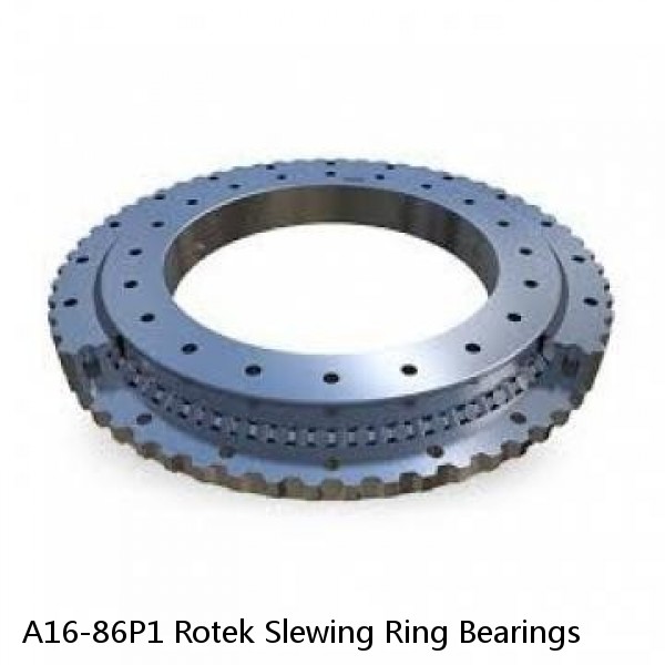 A16-86P1 Rotek Slewing Ring Bearings #1 small image