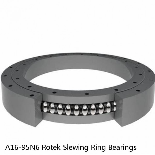 A16-95N6 Rotek Slewing Ring Bearings #1 small image