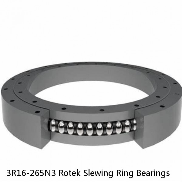 3R16-265N3 Rotek Slewing Ring Bearings #1 small image