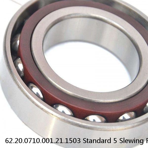 62.20.0710.001.21.1503 Standard 5 Slewing Ring Bearings #1 small image