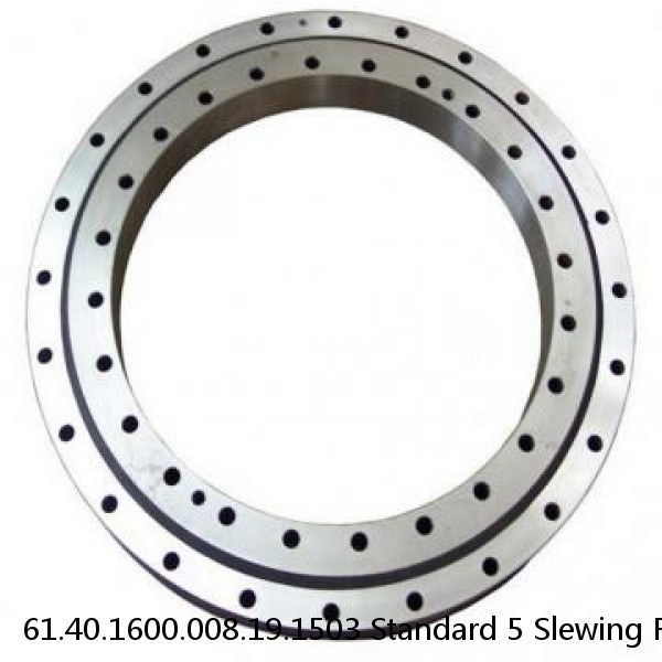 61.40.1600.008.19.1503 Standard 5 Slewing Ring Bearings #1 small image