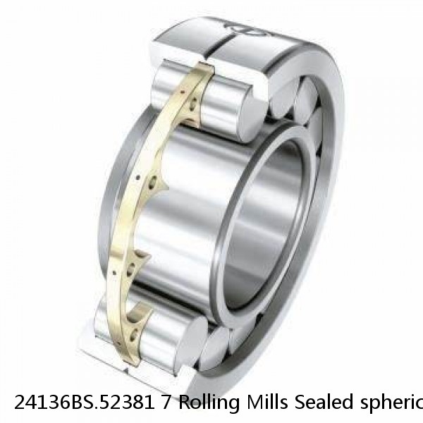 24136BS.52381 7 Rolling Mills Sealed spherical roller bearings continuous casting plants #1 small image