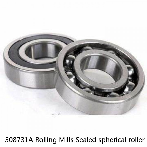 508731A Rolling Mills Sealed spherical roller bearings continuous casting plants #1 small image