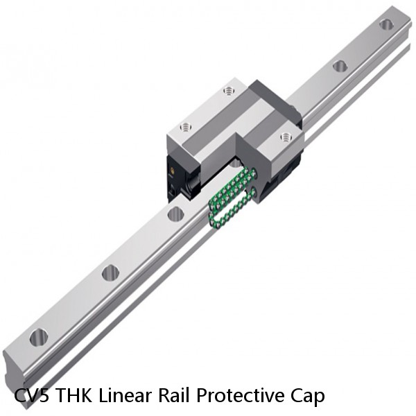 CV5 THK Linear Rail Protective Cap #1 small image