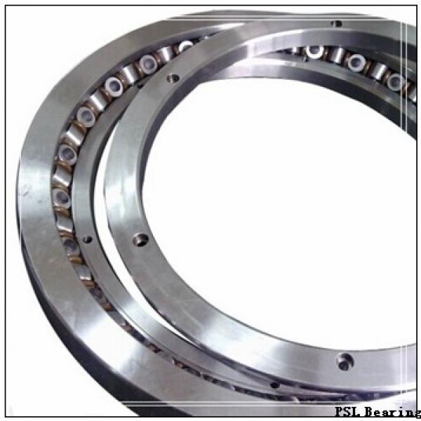 200 mm x 310 mm x 51 mm  PSL NU1040 cylindrical roller bearings #1 image