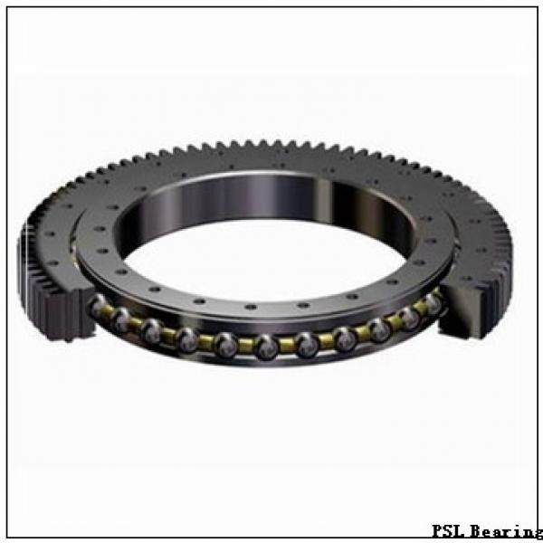 1000 mm x 1320 mm x 185 mm  PSL NUP29/1000 cylindrical roller bearings #1 image