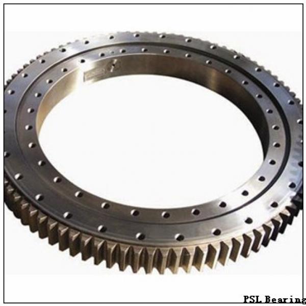 300 mm x 460 mm x 74 mm  PSL NU1060 cylindrical roller bearings #1 image
