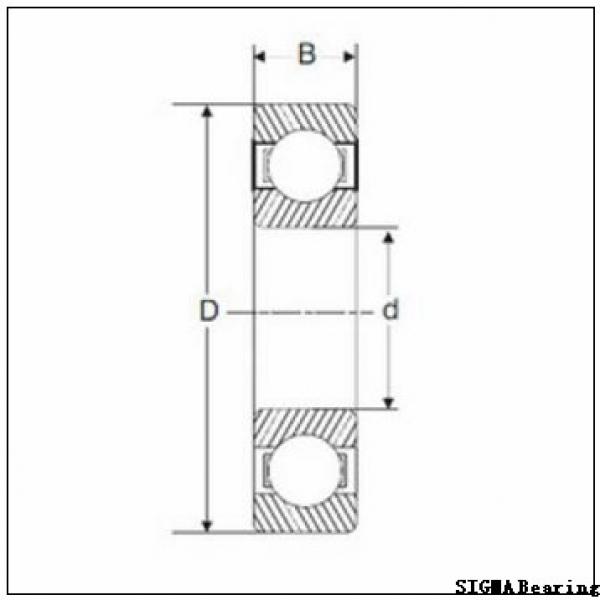 55 mm x 100 mm x 25 mm  SIGMA NU 2211 cylindrical roller bearings #1 image