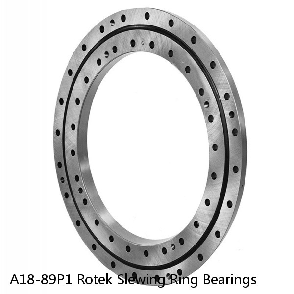 A18-89P1 Rotek Slewing Ring Bearings #1 image