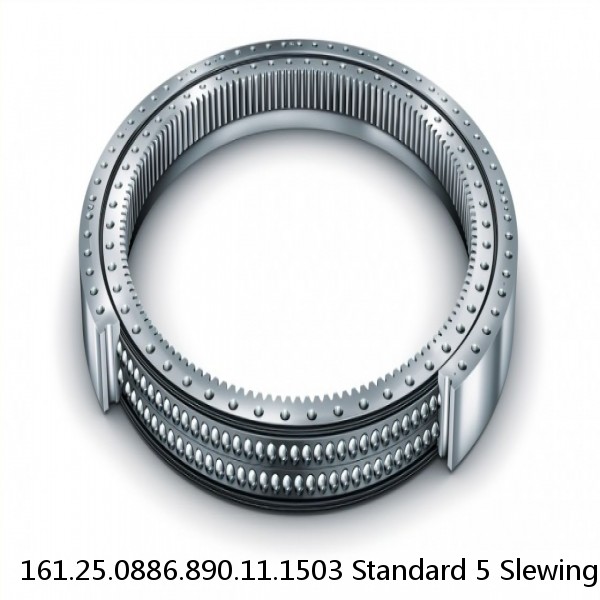 161.25.0886.890.11.1503 Standard 5 Slewing Ring Bearings #1 image