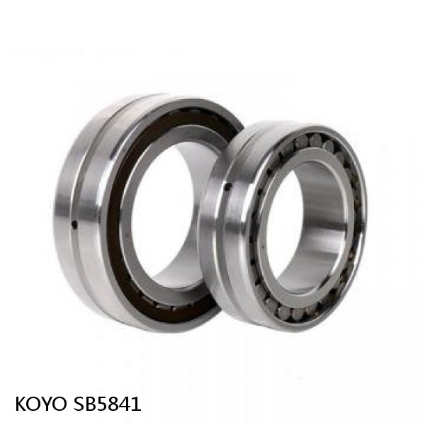 SB5841 KOYO Single-row deep groove ball bearings #1 image
