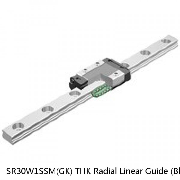 SR30W1SSM(GK) THK Radial Linear Guide (Block Only) Interchangeable SR Series #1 image