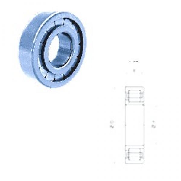 50 mm x 110 mm x 27 mm  Fersa NJ310FM cylindrical roller bearings #2 image